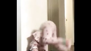 Funny Cat Videos 2023 - ### Funniest Animal Videos