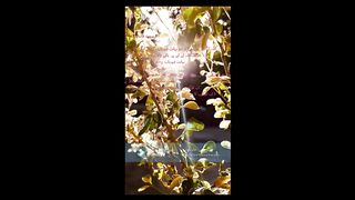 Quraan surah e Fatiha