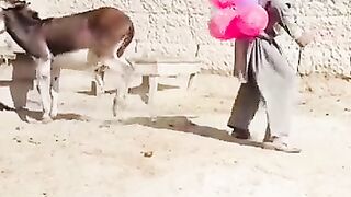 Best Fails of 2023|| Funny Videos