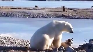 a little friendship.