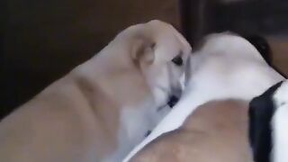 we'll kiss you.