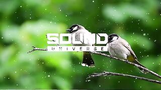 Relaxing Music | Study Music | miracles of god| Relaxing | Nature Sounds |Short | Video Clips of Nature nature of god  23