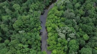 Beautiful Relaxing Music Stress Relief ????Soothing Music With Nature Sound & Calm The Mind, Deep Sleep