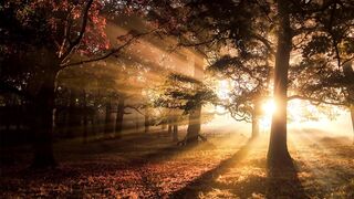 Beauty full Sunsets 4K HD |Subscribe My Channel