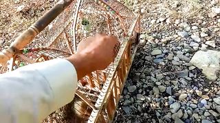 teetar ki awaz