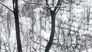 Snowfallkashmir