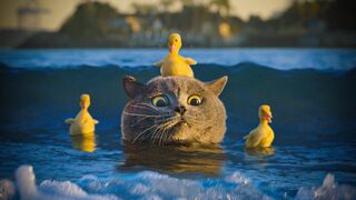 The Cat Who Rescued the Duckling.
