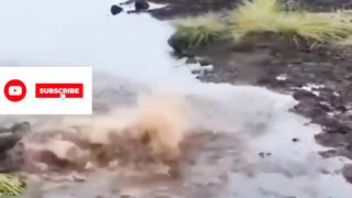 Funny Accident | Ghabrana Mana hay | Funny Video