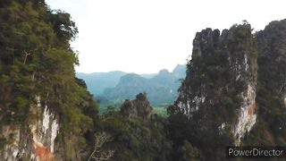 Best forest video with song
