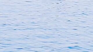 qatar sea diving