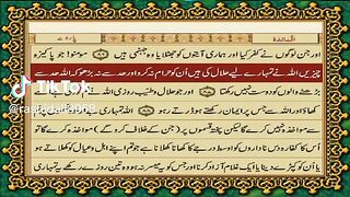 Quran only tilawat