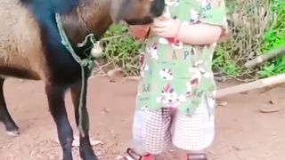 goat and baby love