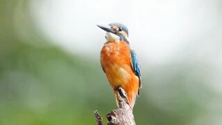 Nature is So Beauty Full