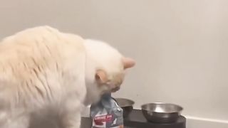 I'll feed myself.