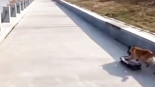 Soo funny clip ????????