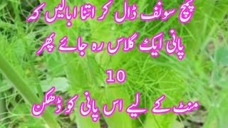 Weight lose tips|Wazan Kam krny ka trika
