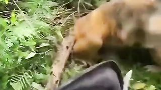 Funny videos ????????????/Good sace ????????????????????????????????????????