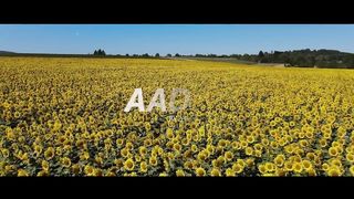 Juda Hoke Bhi (Lo-fi Mix) - Atif Aslam | Lo-fi 2307 | Upreverb | Bollywood Lofi | Aadat