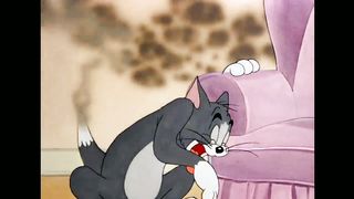 Tom and Jerry |cartoon |cartoon network |funny cartoon