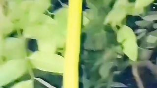 Beautiful nature