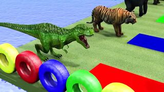 Crossing Fountain Transformation with Elephant , Gorilla, Tiger, TRex