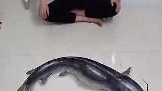Amazing Drawing
