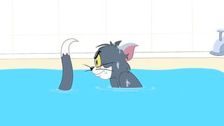 Tom and Jerry cartoon |Tom and Jerry show |cartoon network |funny cartoon