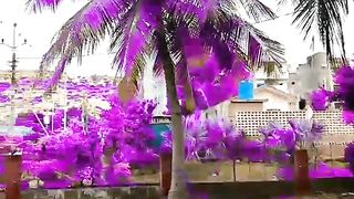 Mobile Video HD