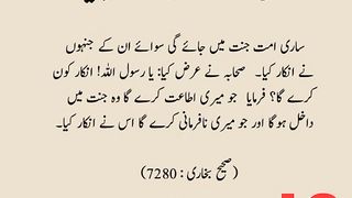 Daily hadees callender.dailyhadees