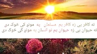 Best poetry