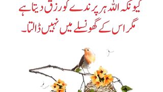 quotes||urdu quotes|