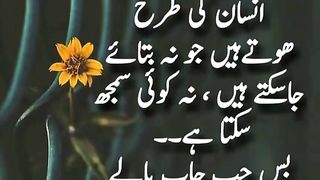 quotes||urdu quotes||