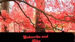 Surah Rahman With Urdu Translation full | Qari Al Sheikh Abdul Basit Abdul Samad
