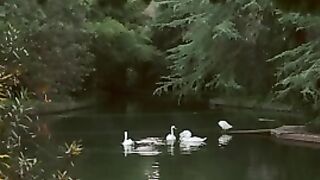 Relaxing sleep Music Video Deep Relaxing Hd Clip
