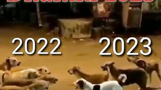 2023 मुक़ाबला New????Funny WhatsApp Status Video _ Funny status _ Funny video _ meme video _ status.