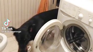 Laundry day.