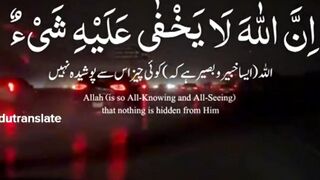 One of the best tilawat