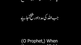 Surah An-Nasr short video