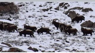 Extreem cold at the nearest village of k2