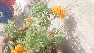 Morning time