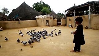 Mere Ghar k aangan pe parndy