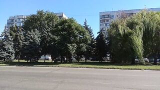 Дорога возле дома.