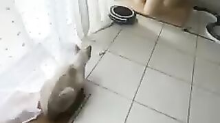 Супер прыжок в замедленной сьемке