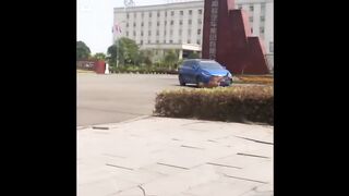 Бельгийская овчарка