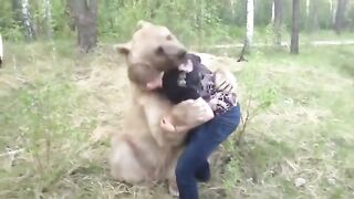 Медведь против Мужика