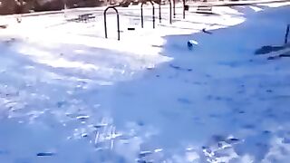 Собака Экстримал