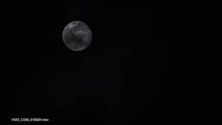 Странные существа поднимающиеся  из океанской бездны.