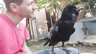 Говорящий Ворон