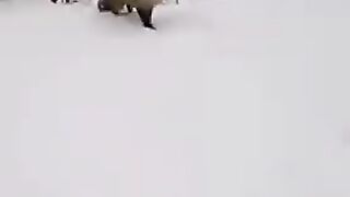 Ревность-это страшная сила