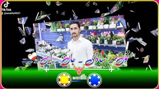 Whatsapp status video